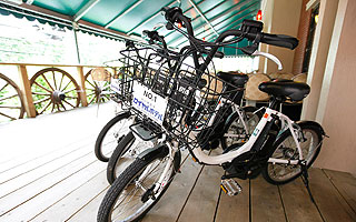 YAMAHA PAS