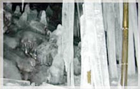 富岳風穴・鳴沢氷穴
