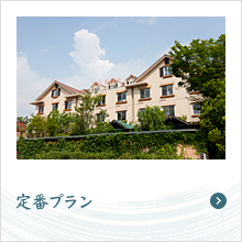 定番プラン
