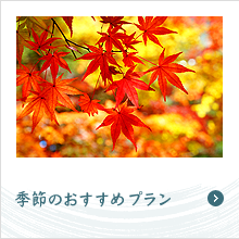 季節のおすすめプラン